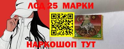 гидропоника Сланцы