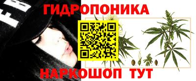 гидропоника Сланцы